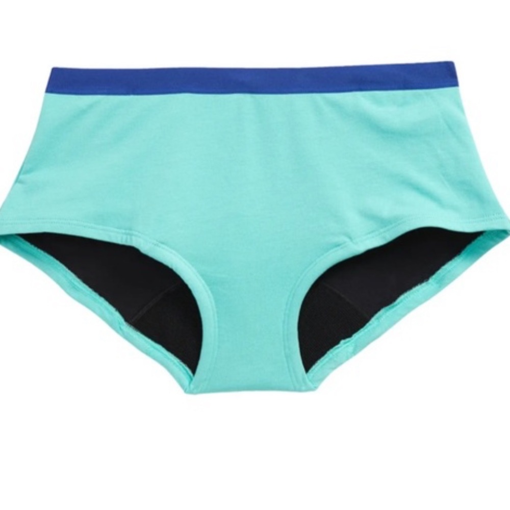 NWOB Thinx Undrwear